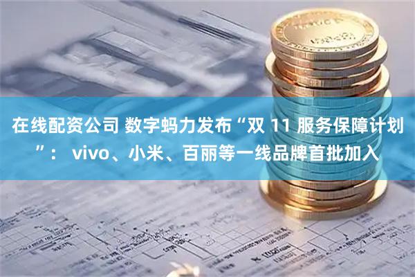 在线配资公司 数字蚂力发布“双 11 服务保障计划”： vivo、小米、百丽等一线品牌首批加入