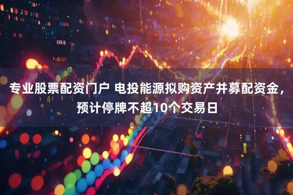 专业股票配资门户 电投能源拟购资产并募配资金，预计停牌不超10个交易日